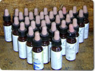 Laborat&oacute;rio - Arte Pharmaceutica